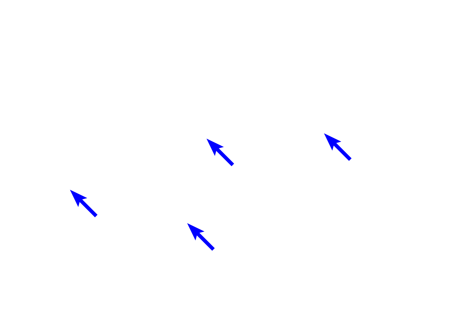  - Nuclei <p>Cardiac muscle fibers possess many of the same components as skeletal muscle, although cardiac fibers are not as heavily striated. Myofibrils in cardiac muscle fibers contain thin and thick myofilaments that are organized and function as they do in skeletal muscle fibers. Cardiac muscle fibers differ from skeletal by having centrally-located nuclei and branching fibers.</p>
