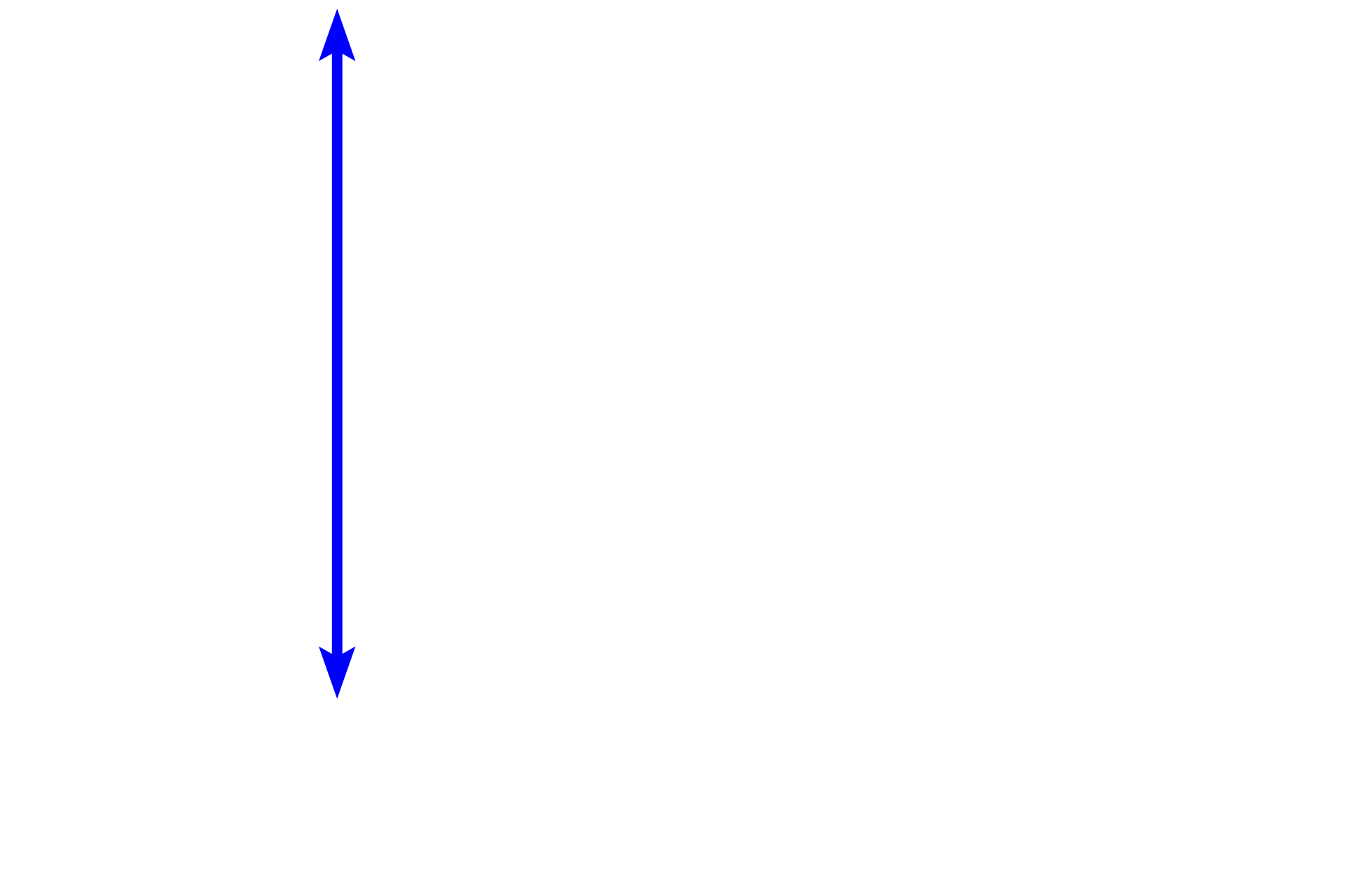 Connective tissue <p>Peripheral nerves can be found coursing through tissues of the body.  Generally, nerves appear well demarcated from surrounding tissue due to the presence of the perineurium.  Nerves do not have a lumen and often have a wavy appearance in longitudinal section.  These two characteristics distinguish nerves from blood vessels or the ducts of glands.  400x</p>
