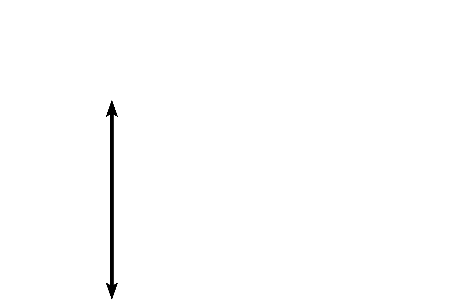 Muscular artery <p>A longitudinal section of a peripheral nerve lies adjacent to a muscular artery.  Peripheral nerves often display a wavy appearance in tissue and appear well demarcated from the adjacent connective tissue by the presence of the perineurium.  400x</p>
