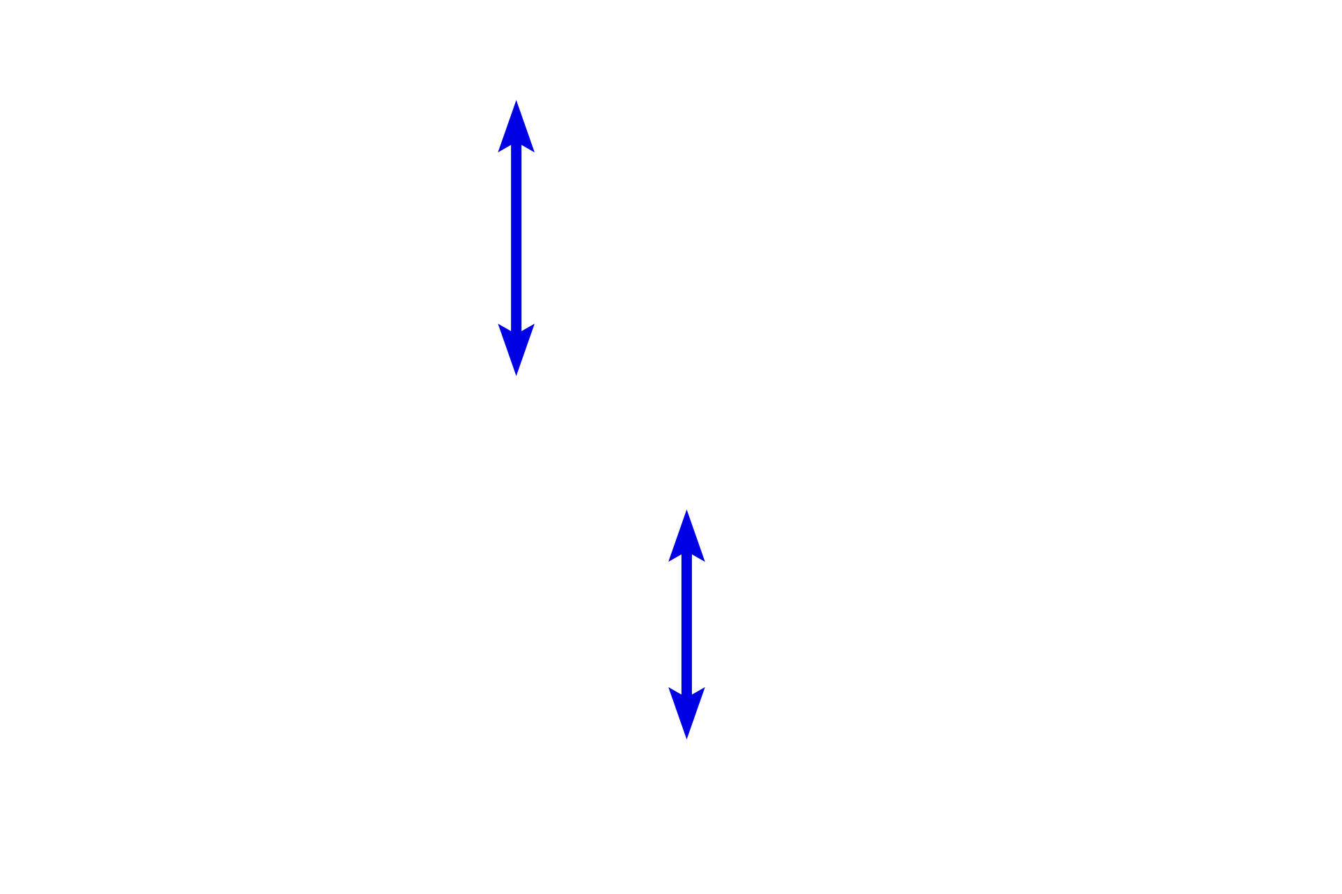 Peripheral nerves <p>The dermis of the skin contains many peripheral nerves which convey both myelinated and unmyelinated axons.  Nerve fascicles are clearly outlined by their perineurium.  Also visible in the connective tissue are blood vessels and accumulations of adipocytes.  400x</p>
