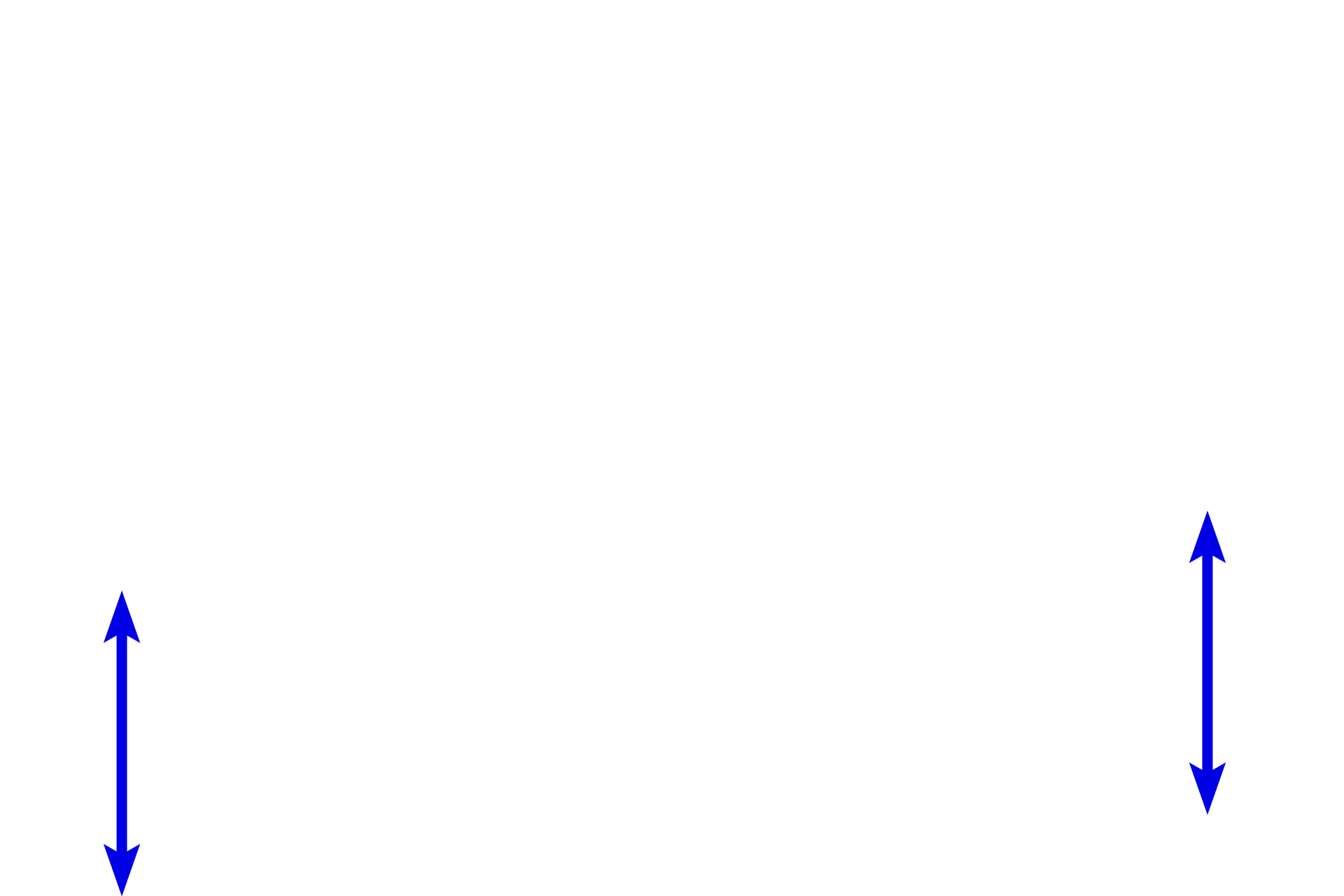 Blood vessels <p>The dermis of the skin contains many peripheral nerves which convey both myelinated and unmyelinated axons.  Nerve fascicles are clearly outlined by their perineurium.  Also visible in the connective tissue are blood vessels and accumulations of adipocytes.  400x</p>

