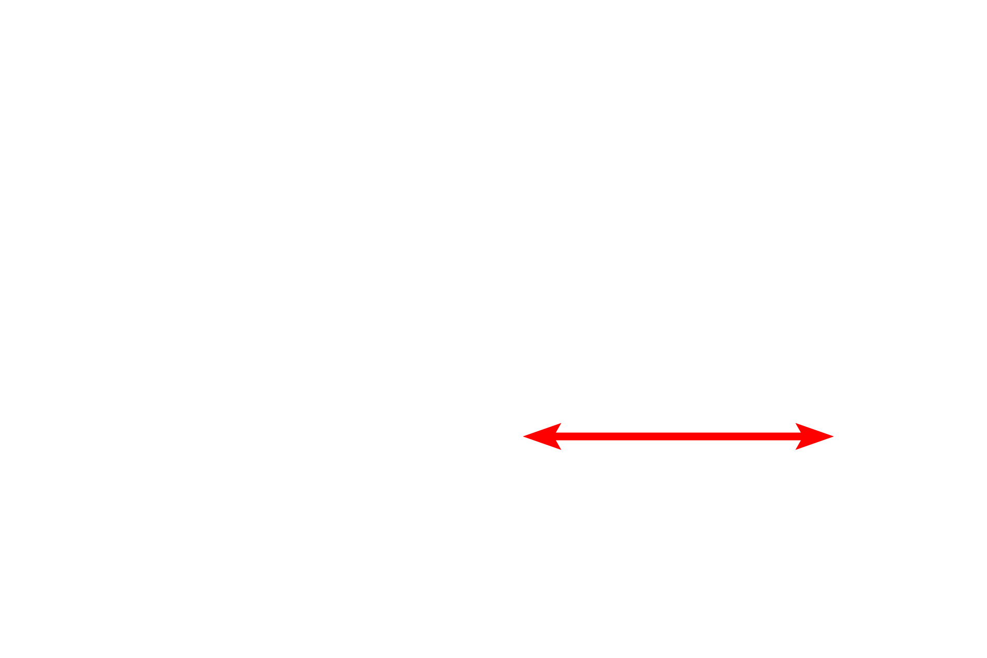 Blood vessel <p>The myelin sheath in this section shows prominently because the tissue was fixed with osmium, retaining the lipid components of myelin.  Individual Schwann cells can either associate with a single axon, forming a myelin sheath, or can invest multiple axons, which are then referred to as unmyelinated.  Toluidine blue stain,  1000x</p>
