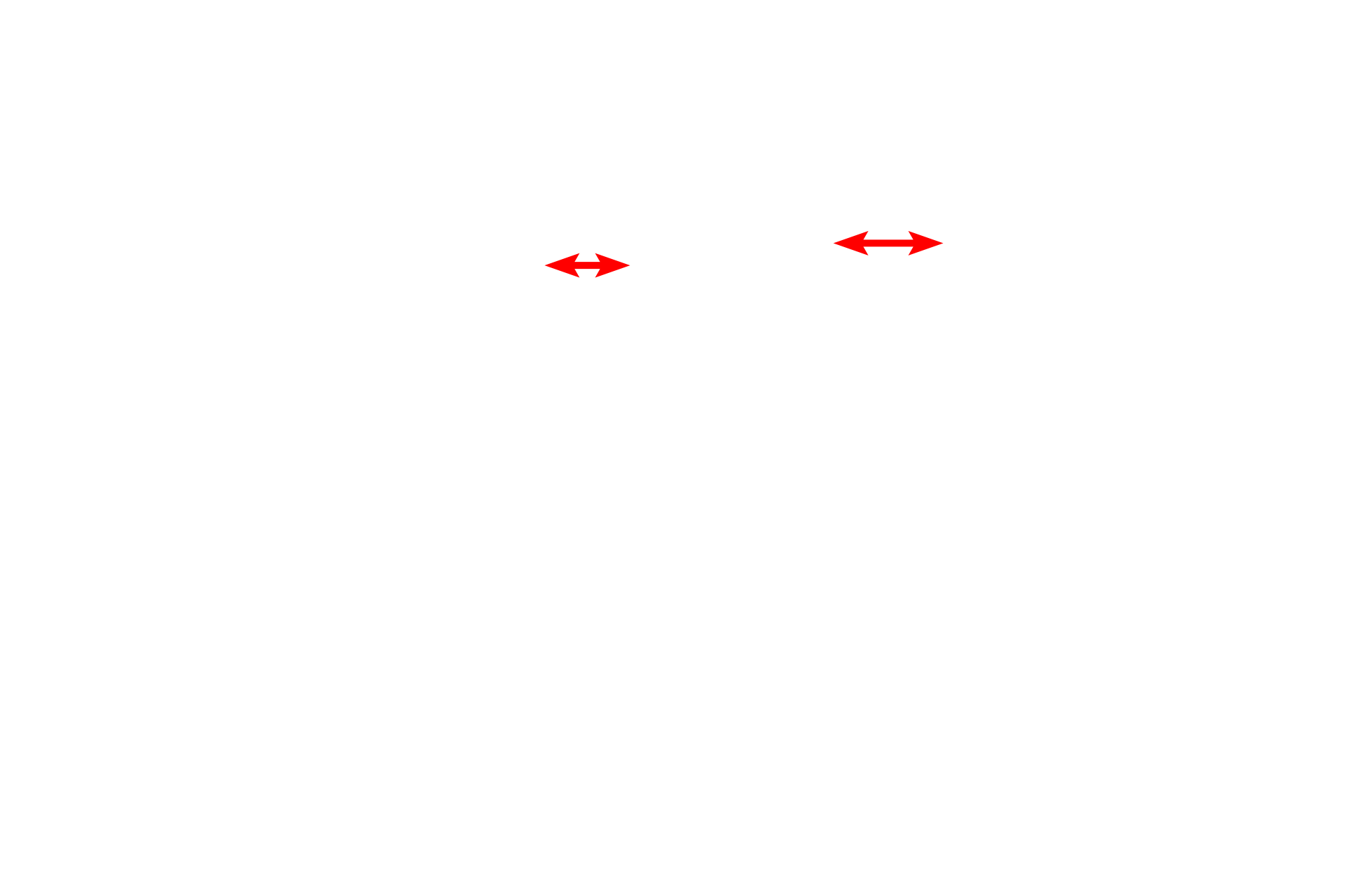 Myelin sheath <p>One Schwann cell forms a segment, called an internode, of a myelin sheath around a portion of an axon.  The myelin sheath is formed by continuous, multiple wrappings of a Schwann cell plasma membrane, producing a lipid-rich insulation that increases conduction speed of nerve impulses.  The space between adjacent internodes is the node of Ranvier.  15,000x</p>
