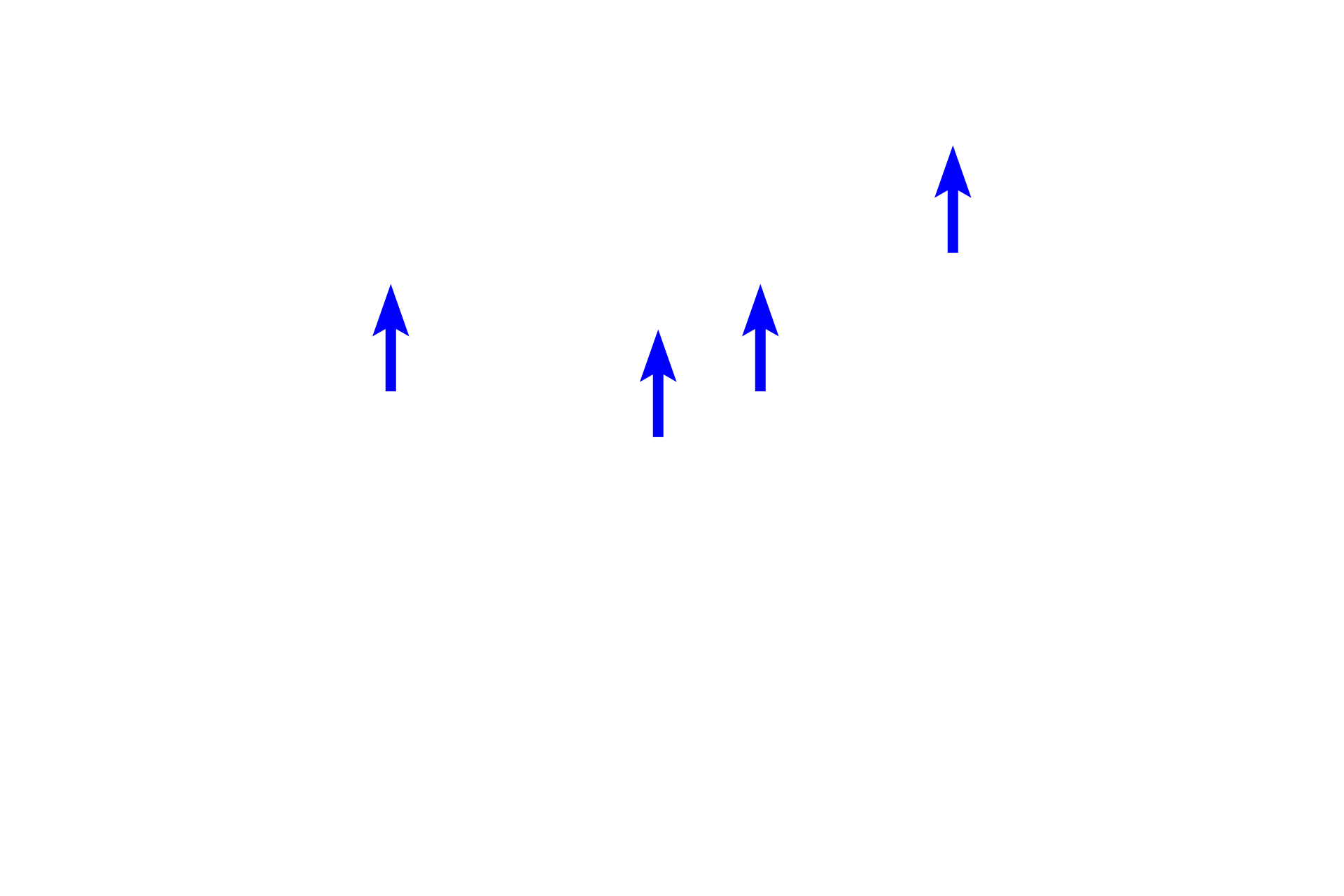 Neuronal processes <p>In most cases, special sensory stimuli are transduced by receptor cells and the signal is carried by a dendrite toward the cell body.  An axon leaves the cell body from its opposite pole to form a cranial nerve that enters the brain.  Axonal and dendritic processes cannot be differentiated in this image.  Vestibular ganglion of the ear  1200x</p>

