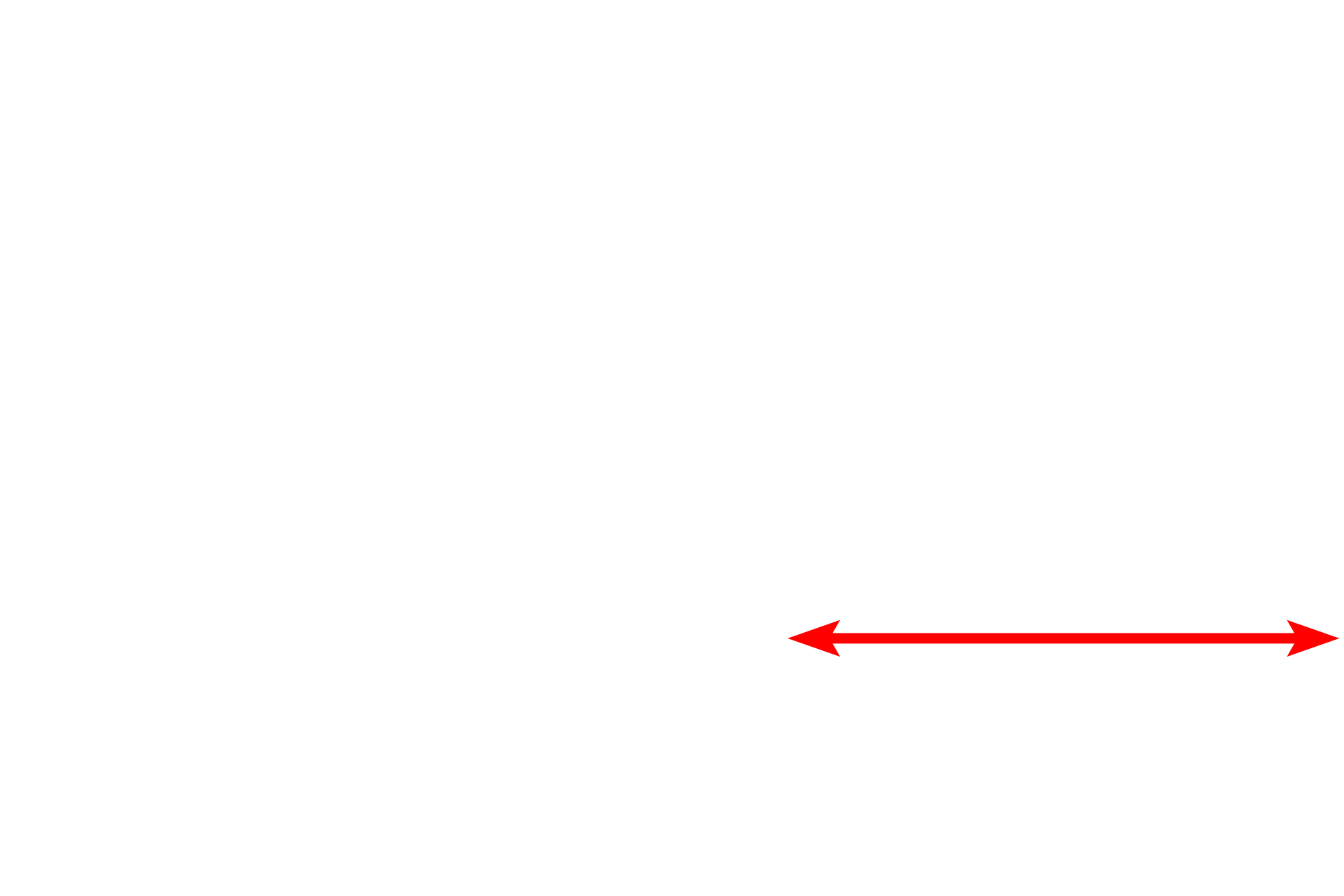 Neuron nucleus <p>This electron micrograph shows a portion of a neuronal cell body with a large Nissl body.  Nissl is a unique association of RER and polyribosomes which appear as discrete structures in the cytoplasm.  Nissl is prominent in the cell body and dendrites but is absent from axons.</p>
