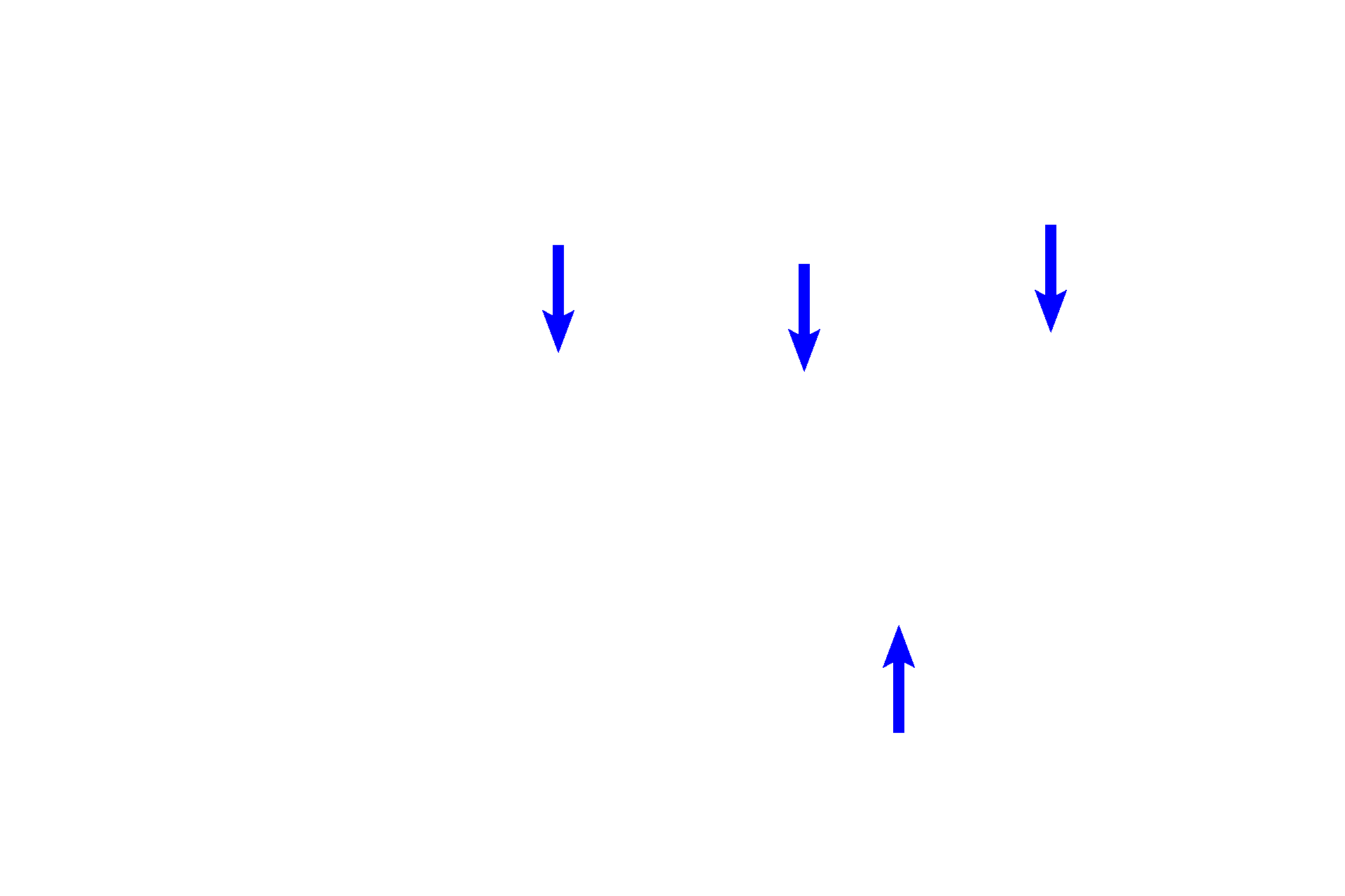 Bronchial vessels <p>Bronchial arteries supply oxygenated blood to the walls of the respiratory passageways. Bronchial blood vessels can be seen in the secondary bronchus on the left and the trachea on the right. (The elastic lamina indicates that the passageway on the right is a trachea/primary bronchus.)  400x, 200x</p>
