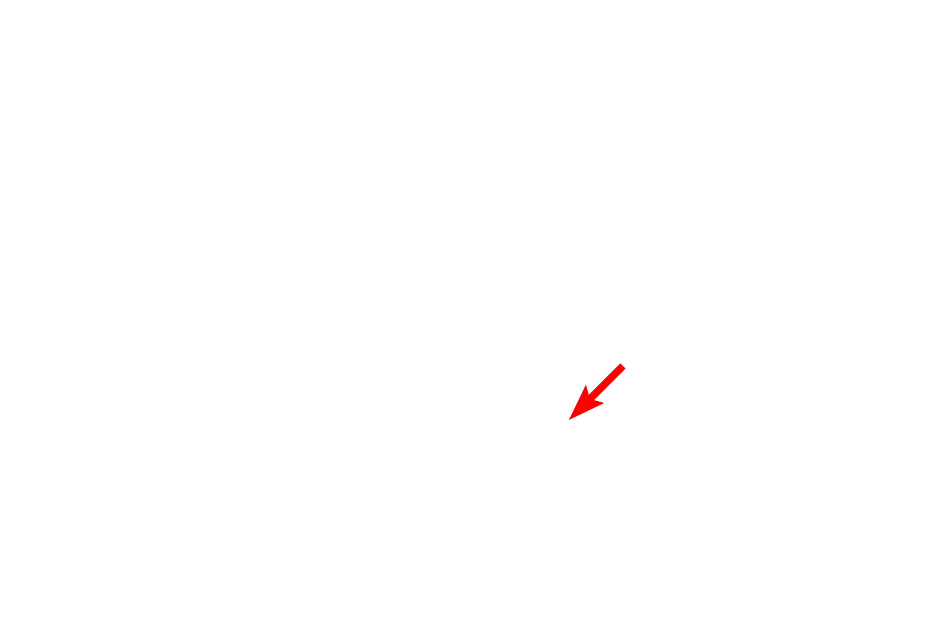 Cell body > <p>The cell body of pyramidal neurons is roughly triangular or pyramid-shaped. Two additional neurons, slightly out of the plane of focus, are also visible.</p>
