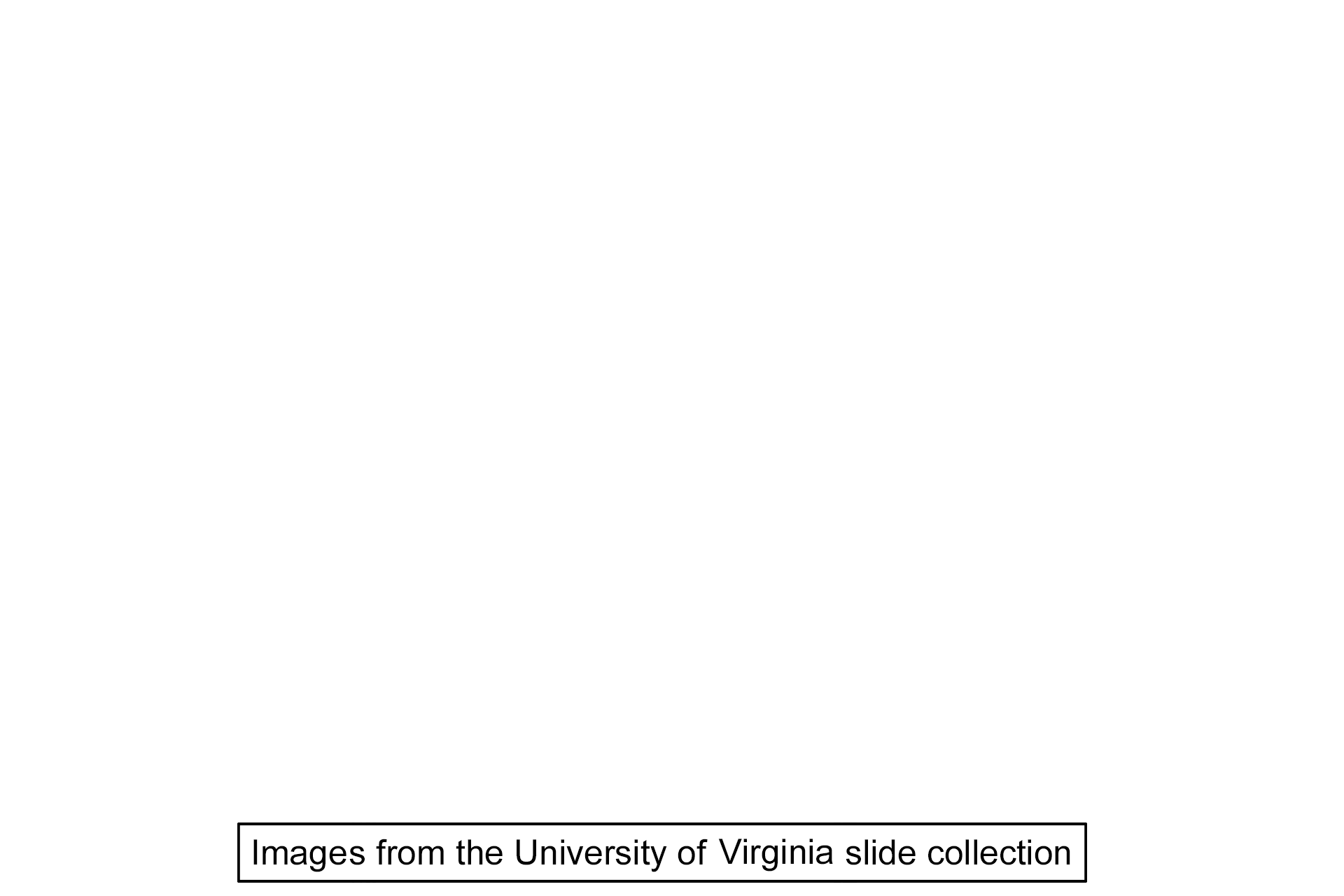 Image source > <p>These images were taken of a slide from the University of Virginia collection.</p>
